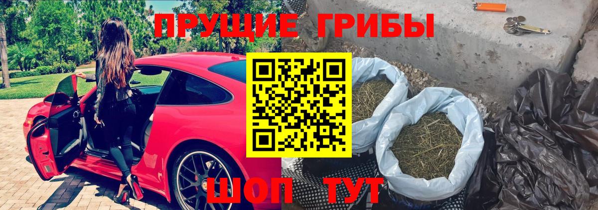 Псилоцибиновые грибы Psilocybe  Вход с VPN  купить  цена  Сунжа  Галлюциногенные грибы мухоморы 